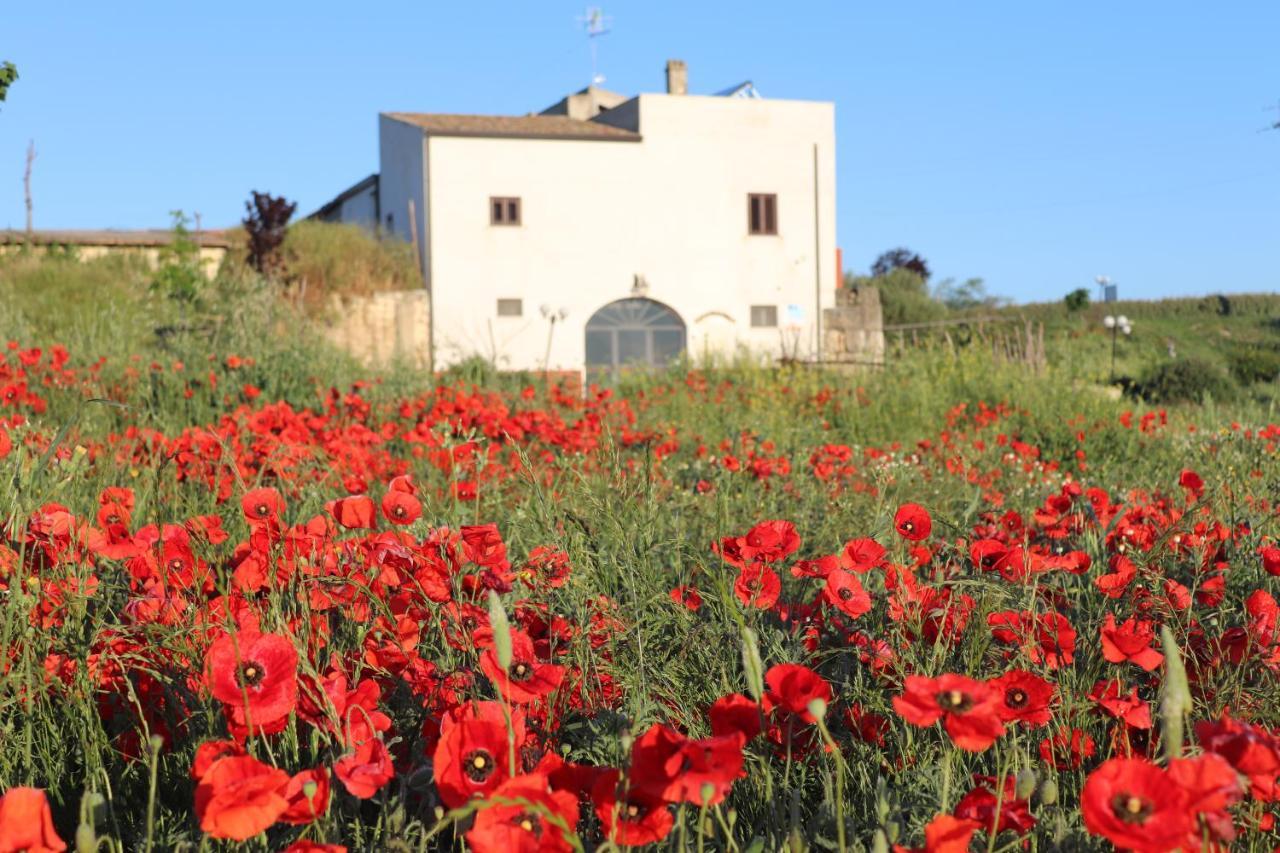 Masseria Agriturismo Moschella Posta Piana Luaran gambar